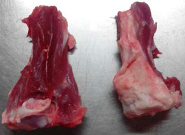 冷鮮肉,帶肉S骨